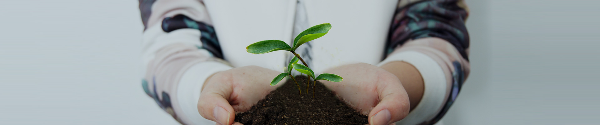 关于金狮贵宾会