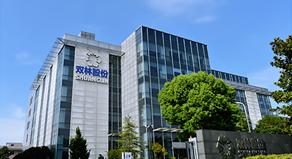 金狮贵宾会印象